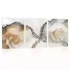 3pcs Tranquil Abstract Neutral Tree Rings Wall Art Set Canvas Framed 40x60cm - High Quality Print 100% Australian Made Wall Canvas Ready to Hang