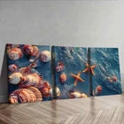 3pcs Sea Shells and Starfish Ocean Perfect Wall Art Set Canvas Framed 40x60cm - High Quality Print 100% Australian Made Wall Canvas Ready to Hang