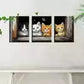 3pcs Whimsical Kitten Peeking Through Window Wall Art Set Canvas Framed 40x60cm - High Quality Print 100% Australian Made Wall Canvas Ready to Hang