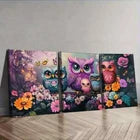 3pcs Many Lovely Owls Colorful Painting Perfect Wall Art Set Canvas Framed 40x60cm - High Quality Print 100% Australian Made Wall Canvas Ready to Hang