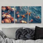 3pcs Sea Shells and Starfish Ocean Perfect Wall Art Set Canvas Framed 40x60cm - High Quality Print 100% Australian Made Wall Canvas Ready to Hang