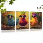 3pcs Whimsical Chicken Playful Farm Animal Wall Art Set Canvas Framed 40x60cm - High Quality Print 100% Australian Made Wall Canvas Ready to Hang