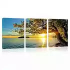 3pcs Peaceful Tree Sunset Lake Sky View Wall Art Set Canvas Framed 40x60cm - High Quality Print 100% Australian Made Wall Canvas Ready to Hang