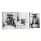 3pcs Abstract Raccoon in Funny Situations Wall Art Set Canvas Framed 40x60cm - High Quality Print 100% Australian Made Wall Canvas Ready to Hang