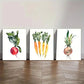 3pcs Vegetable Radish Carrots & Beetroot Metal Print Ready to Hang Art