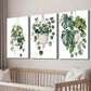 3pcs Green Monstera & Pothos Plant Wall Art Set Canvas Framed 40x60cm - High Quality Print 100% Australian Made Wall Canvas Ready to Hang