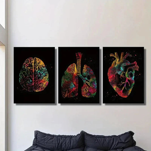 3pcs Brain, lungs and heart, abstract color Metal Print Ready to Hang Art