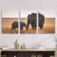 3pcs Wildlife, Elephant and Baby Elephant Metal Print Ready to Hang Art
