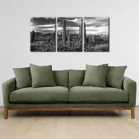 3pcs Black and White National Park Desert Cactus Metal Print Ready to Hang Art