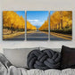 3pcs Golden Autumn Avenue Triptych Wall Art Set Canvas Framed 40x60cm - High Quality Print 100% Australian Made Wall Canvas Ready to Hang