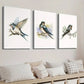 3pcs Bird Illustration on Tree Branch Wall Art Set Canvas Framed 40x60cm - High Quality Print 100% Australian Made Wall Canvas Ready to Hang