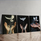3pcs Pigeon on Hand Design Wall Art Set Canvas Framed 40x60cm - High Quality Print 100% Australian Made Wall Canvas Ready to Hang