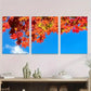 3pcs Colorful Fall Foliage with Blue Sky Vibrant Wall Art Set Canvas Framed 40x60cm - High Quality Print 100% Australian Made Wall Canvas Ready to Hang