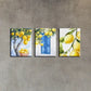 3pcs Lemon with Blue Window & Basket Metal Print Ready to Hang Art