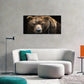 3pcs Set Brown Bear Grizzly Bear Animal Portrait Metal Print Ready to Hang Art