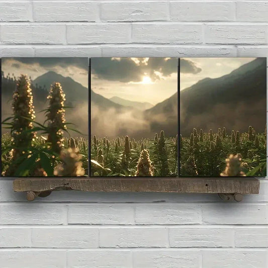 3pcs Sun Blocked Clouds Green Big Trees Metal Print Ready to Hang Art
