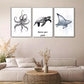 3pcs  Marine Life Triptych Wall Art Set Canvas Framed 40x60cm - High Quality Print 100% Australian Made Wall Canvas Ready to Hang