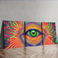 3pcs  Psychedelic Rainbow Eye Design Wall Art Set Canvas Framed 40x60cm - High Quality Print 100% Australian Made Wall Canvas Ready to Hang