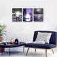 3pcs  Black And White Wall Painting  Metal Print Ready to Hang Art