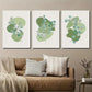 3pcs Abstract Geometric Shapes Botanical Leaves Wall Art Set Canvas Framed 40x60cm - High Quality Print 100% Australian Made Wall Canvas Ready to Hang