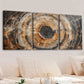 3pcs Abstract Tree Ring Brown Black Gold White Wall Art Set Canvas Framed 40x60cm - High Quality Print 100% Australian Made Wall Canvas Ready to Hang