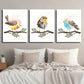 3pcs Watercolor Style Bird Colorful Cute Bird Metal Print Ready to Hang Art