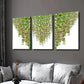 3pcs Vine Green Plant Leaf Decoration Wall Art Set Canvas Framed 40x60cm - High Quality Print 100% Australian Made Wall Canvas Ready to Hang