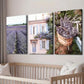 3pcs Lavender Field Provence Floral Decor Wall Art Set Canvas Framed 40x60cm - High Quality Print 100% Australian Made Wall Canvas Ready to Hang