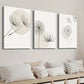 3pcs White Dandelion Botanical Flower Wall Art Set Canvas Framed 40x60cm - High Quality Print 100% Australian Made Wall Canvas Ready to Hang