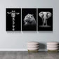 3pcs  Giraffe Tiger and Elephant Picture   Metal Print Ready to Hang Art