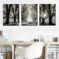 3pcs Forest Picture Tree Walk In The Forest Metal Print Ready to Hang Art
