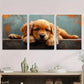 3pcs Adorable Golden Retriever Puppy Metal Print Ready to Hang Art