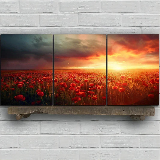 3pcs On Cloudy Days and Flower Fields Metal Print Ready to Hang Art