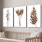 3pcs Brown Abstract Cotton Plant Print Wall Art Set Canvas Framed 40x60cm - High Quality Print 100% Australian Made Wall Canvas Ready to Hang