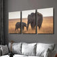 3pcs Elephant and Baby Elephant Wildlife Wall Art Set Canvas Framed 40x60cm - High Quality Print 100% Australian Made Wall Canvas Ready to Hang