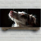 3pcs White Dog Rose Nose Golden Eyes Metal Print Ready to Hang Art