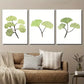 3pcs Green Plant Ginkgo simple Plant Leaf Metal Print Ready to Hang Art