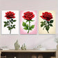 3pcs Elegant Red Rose Triptych Classic & Glam Wall Art Set Canvas Framed 40x60cm - High Quality Print 100% Australian Made Wall Canvas Ready to Hang