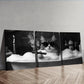 3pcs Gangster Brother Kitten  Wall Art Set Canvas Framed 40x60cm - High Quality Print 100% Australian Made Wall Canvas Ready to Hang