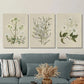 3pcs botanical art painting, retro flowers Metal Print Ready to Hang Art