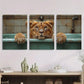3pcs Vintage Lion Leopard & Tiger in Bathtub Red Metal Print Ready to Hang Art