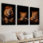 3pcs Lion & Cub Portrait on Dark Background Wall Art Set Canvas Framed 40x60cm - High Quality Print 100% Australian Made Wall Canvas Ready to Hang