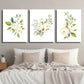 3pcs Botanical Rose Flower Watercolor Style Metal Print Ready to Hang Art
