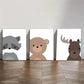 3pcs Raccoon Bear Sika Deer Elegant Metal Print Ready to Hang Art