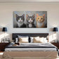Beautiful Cats Perfects Cute Wall Art Canvas Office Home Room Framed 120x60cm