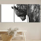 3pcs Grizzly Black and White Brown Bear Wildlife Metal Print Ready to Hang Art
