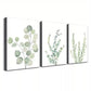 3pcs Lone Green Leaves Water Coloured Canvas Framed 40x60cm - High Quality Print 100% Australian Made Wall Canvas Ready to Hang