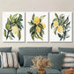 3pcs  Botanical Fruit Illustrations with Green Leaf Metal Print Ready to Hang Art