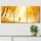 3pcs Golden Sunlit Trees & Tranquil Perfect Wall Art Set Canvas Framed 40x60cm - High Quality Print 100% Australian Made Wall Canvas Ready to Hang