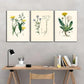 3pcs Environment Herbal Art Floral Poster Metal Print Ready to Hang Art